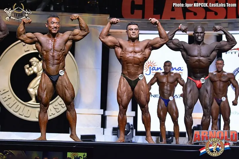 asf 2016 bb 1 — Galery asf 2016 bb 1