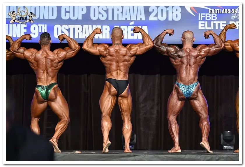 2018 IFBB DIAMOND CUP OSTRAVA-BB Overall — Galery 2018 IFBB DIAMOND CUP OSTRAVA-BB Overall