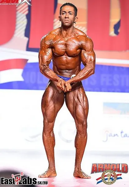 asf 2016 bb 1 — Galery asf 2016 bb 1