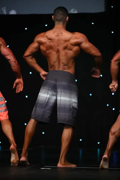 naphilo grecia mens physique up to 173 cm — Galery naphilo grecia mens physique up to 173 cm
