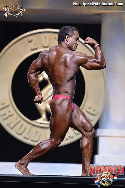 asf 2016 bb — Galery asf 2016 bb