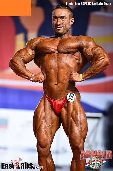 asf 2016 bb 1 — Galery asf 2016 bb 1