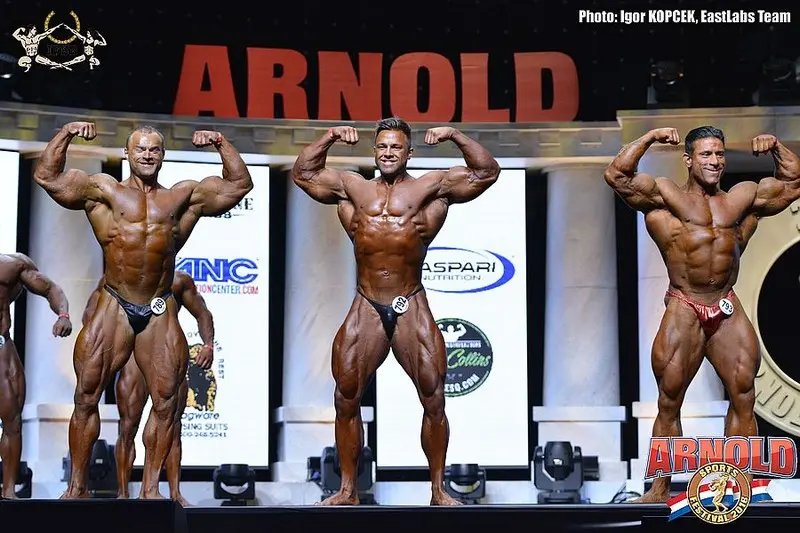 asf 2016 bb 1 — Galery asf 2016 bb 1