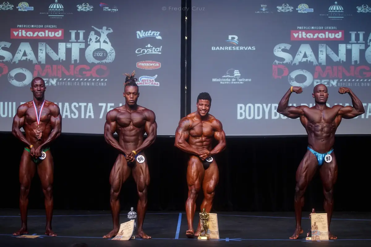 Open Santo Domingo — ORGANIZATION OPEN SANTO DOMINGO