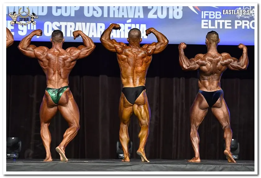 2018 IFBB DIAMOND CUP OSTRAVA-BB Overall — Galery 2018 IFBB DIAMOND CUP OSTRAVA-BB Overall
