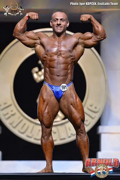 asf 2016 bb — Galery asf 2016 bb