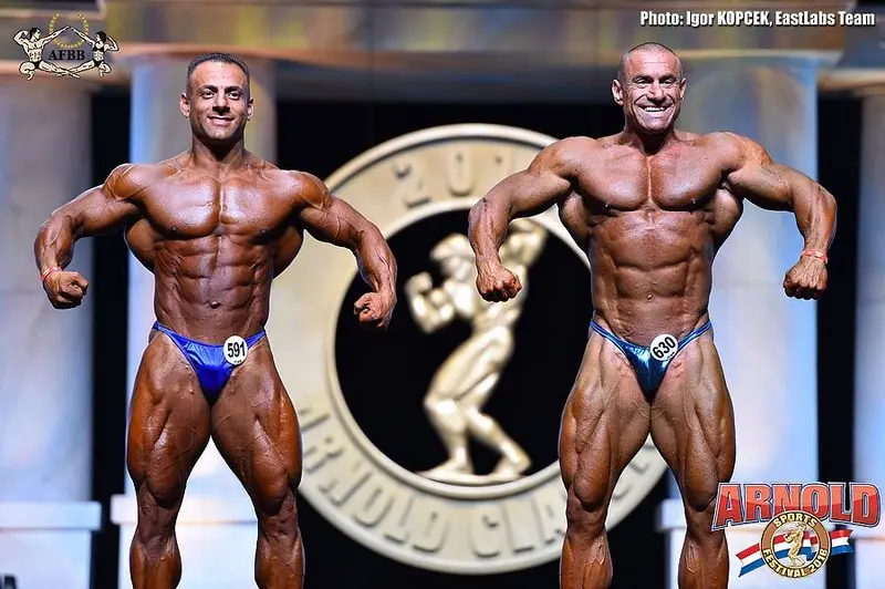 asf 2016 bb — Galery asf 2016 bb