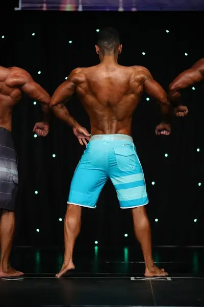 naphilo grecia mens physique over 180 cm — Galery naphilo grecia mens physique over 180 cm