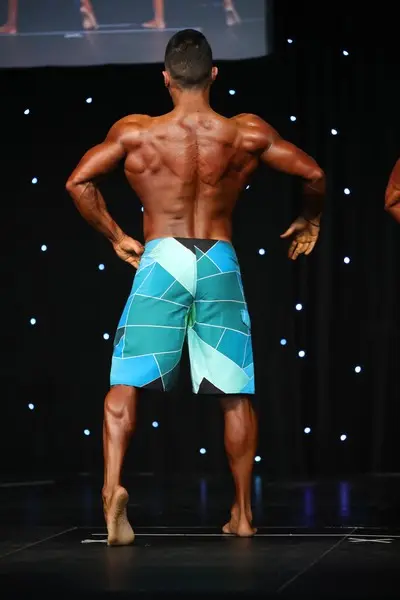 naphilo grecia mens physique up to 173 cm — Galery naphilo grecia mens physique up to 173 cm