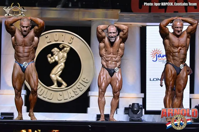 asf 2016 bb — Galery asf 2016 bb