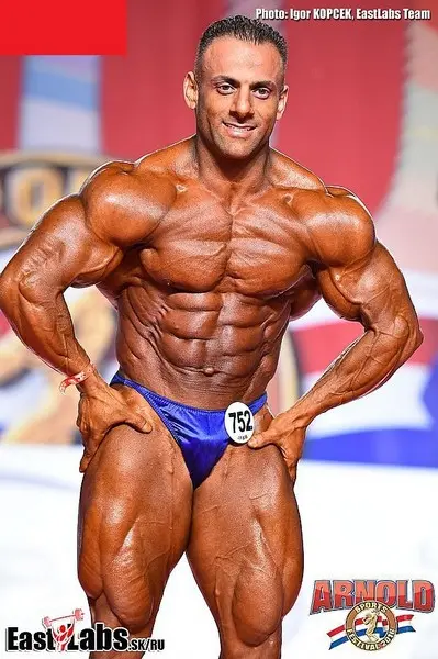 asf 2016 bb 1 — Galery asf 2016 bb 1