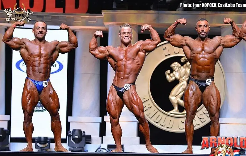 asf 2016 bb 1 — Galery asf 2016 bb 1