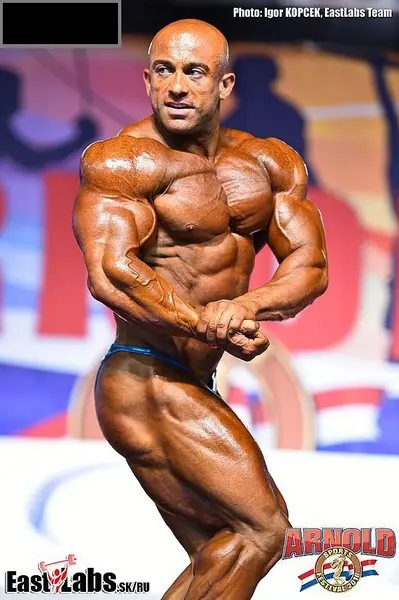 asf 2016 bb 1 — Galery asf 2016 bb 1