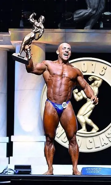 asf 2016 bb — Galery asf 2016 bb