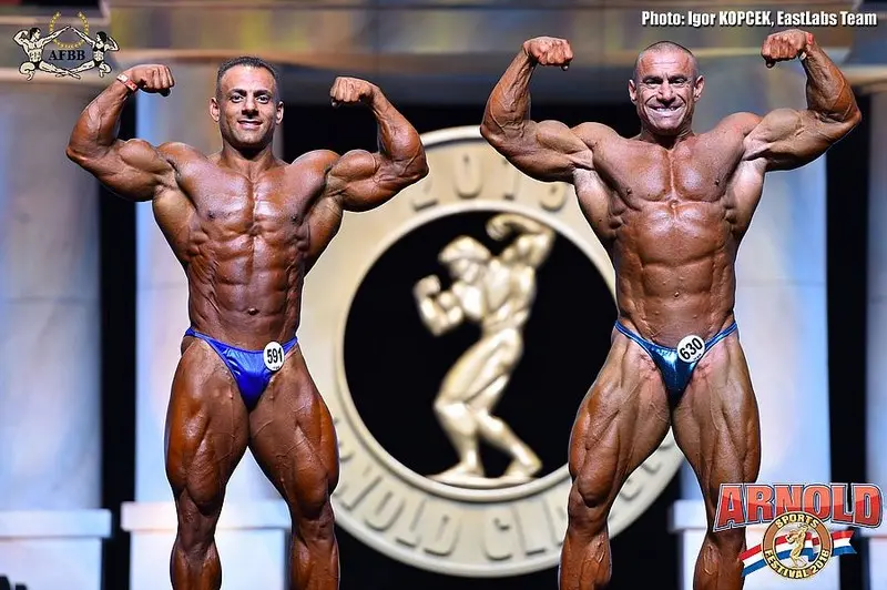 asf 2016 bb — Galery asf 2016 bb