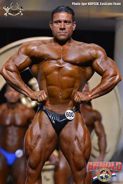 asf 2016 bb — Galery asf 2016 bb