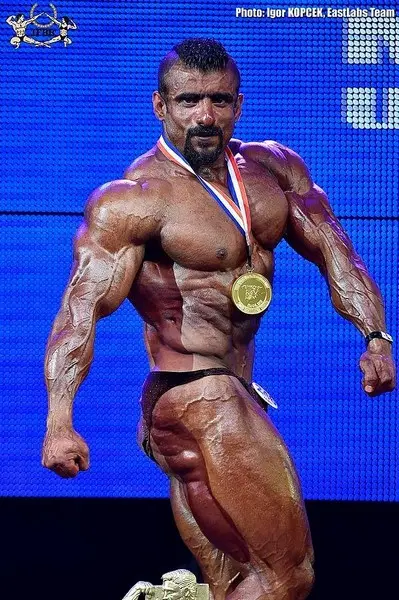 2015 IFBB WORLD BODYBUILDING CHAMPIONSHIPS — 2015 IFBB WORLD BODYBUILDING CHAMPIONSHIPS