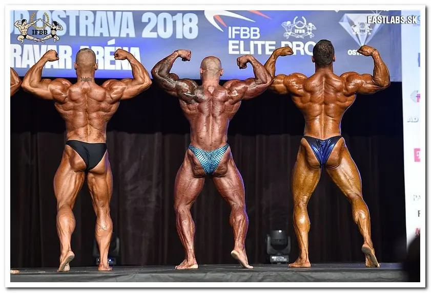 2018 IFBB DIAMOND CUP OSTRAVA-BB Overall — Galery 2018 IFBB DIAMOND CUP OSTRAVA-BB Overall