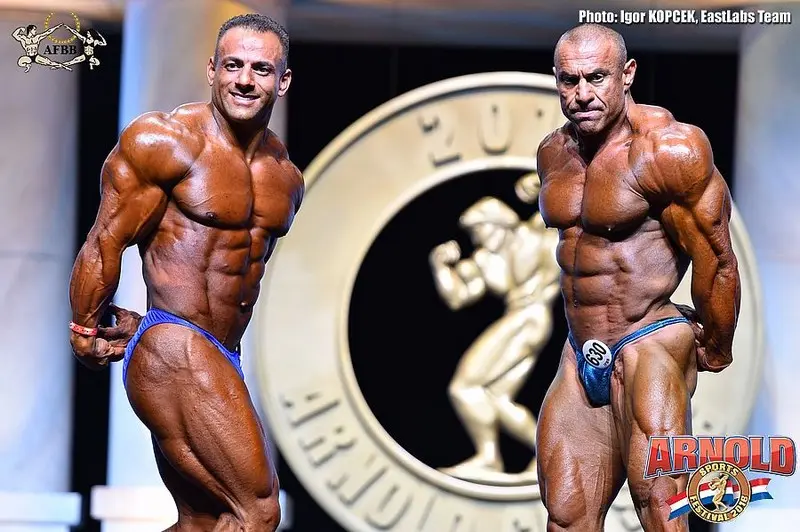 asf 2016 bb — Galery asf 2016 bb