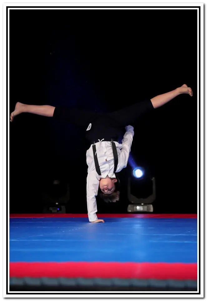 2018 IFBB WORLD CHILDREN FITNESS CHAMPIONSHIPS-12-15 years boys — 2018 IFBB WORLD CHILDREN FITNESS CHAMPIONSHIPS-12-15 years boys