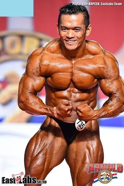 asf 2016 bb 1 — Galery asf 2016 bb 1