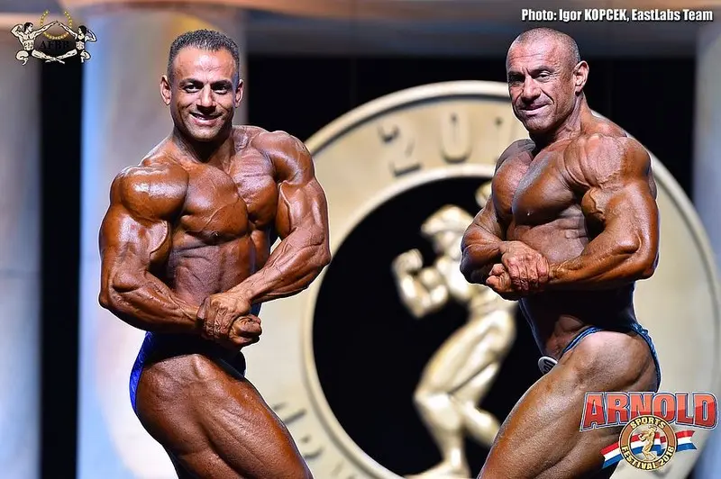 asf 2016 bb — Galery asf 2016 bb