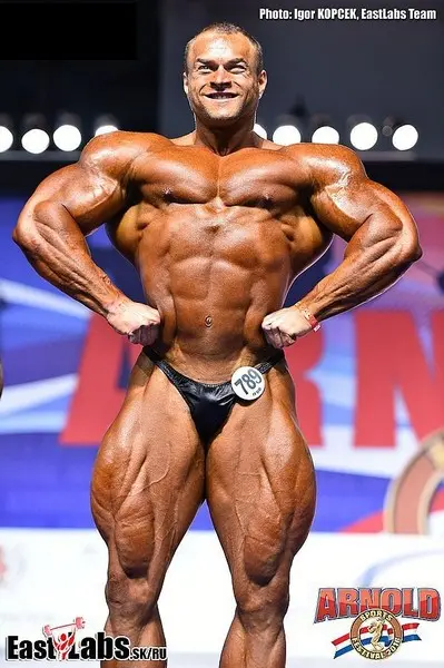 asf 2016 bb 1 — Galery asf 2016 bb 1