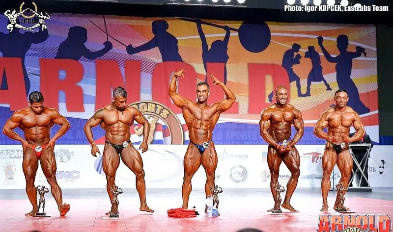 asf 2016 bb 1 — Galery asf 2016 bb 1