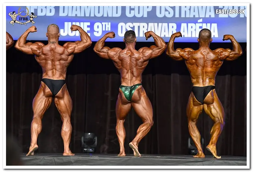2018 IFBB DIAMOND CUP OSTRAVA-BB Overall — Galery 2018 IFBB DIAMOND CUP OSTRAVA-BB Overall