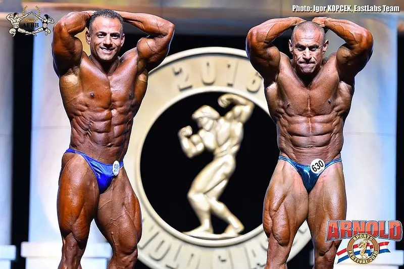 asf 2016 bb — Galery asf 2016 bb