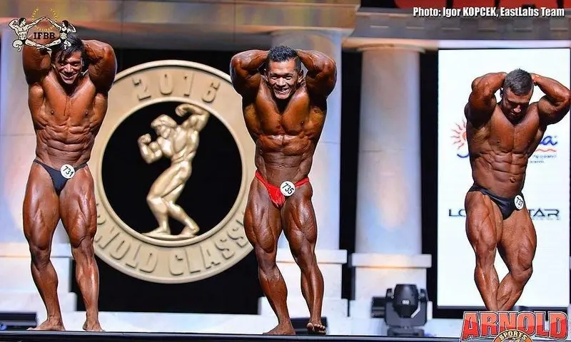 asf 2016 bb 1 — Galery asf 2016 bb 1