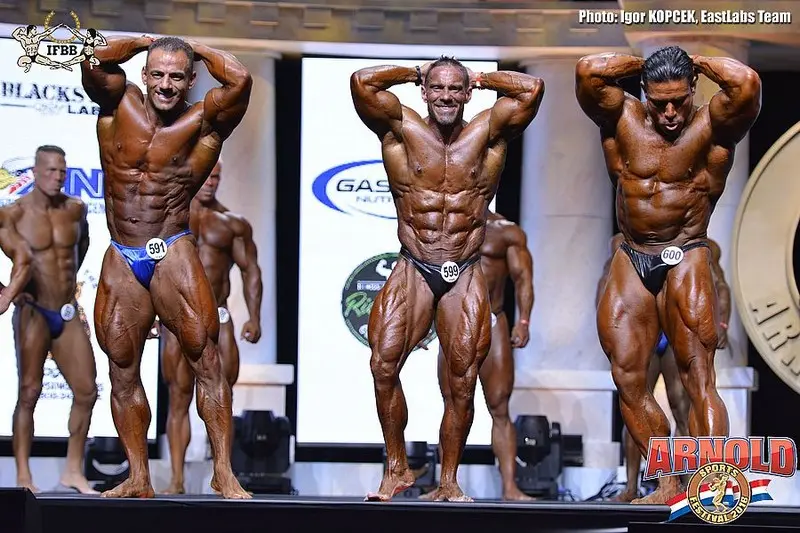 asf 2016 bb — Galery asf 2016 bb