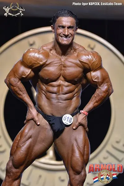 asf 2016 bb — Galery asf 2016 bb