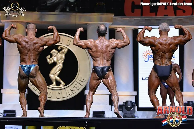 asf 2016 bb — Galery asf 2016 bb