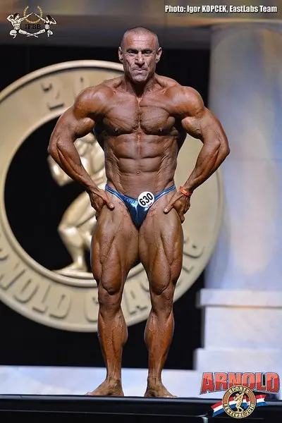 asf 2016 bb — Galery asf 2016 bb