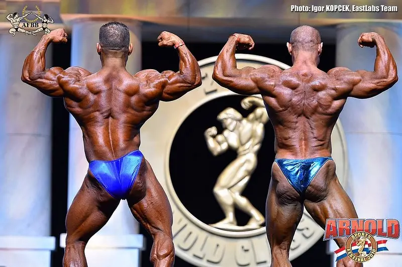 asf 2016 bb — Galery asf 2016 bb